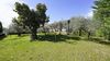 Ponti sul Mincio, Elegant independent villa for sale