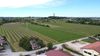 Desenzano del Garda, rustic house surrounded by greenery with private garden for sale