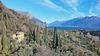 Wonderful renovated country house with lake view, set in a large olive grove.