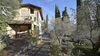 Wonderful renovated country house with lake view, set in a large olive grove.